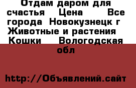 Отдам даром для счастья. › Цена ­ 1 - Все города, Новокузнецк г. Животные и растения » Кошки   . Вологодская обл.